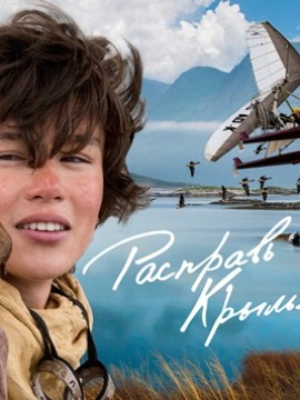 Расправь крылья (фильм 2019)