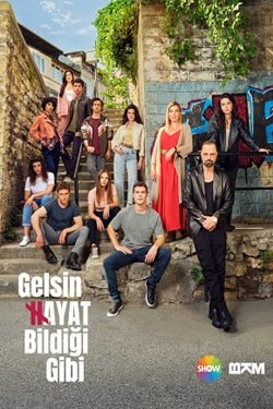 Сериал Жизнь как она есть 3 сезон