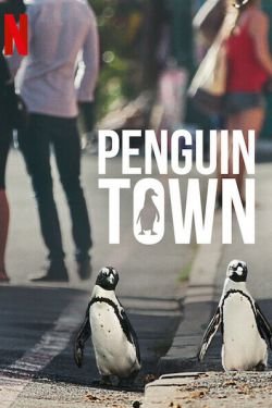 Сериал Город пингвинов