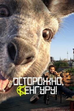 Фильм Осторожно Кенгуру 2